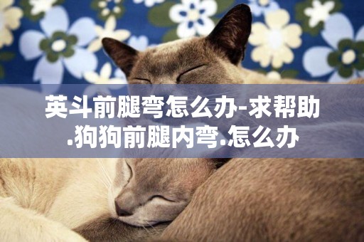 英斗前腿彎怎么辦-求幫助.狗狗前腿內彎.怎么辦