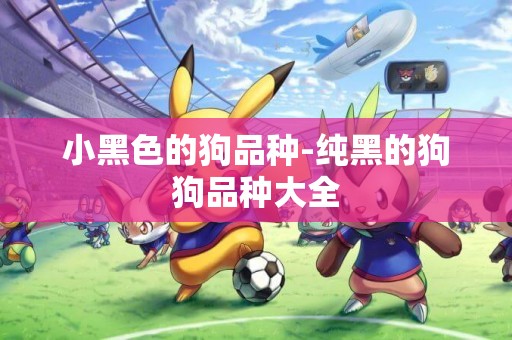 小黑色的狗品種-純黑的狗狗品種大全