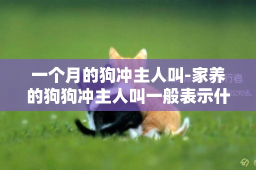 一個月的狗沖主人叫-家養的狗狗沖主人叫一般表示什么呢