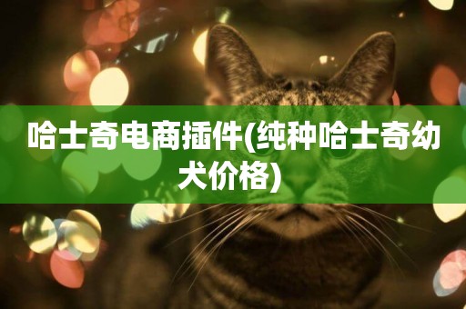哈士奇電商插件(純種哈士奇幼犬價格) 
