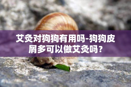 艾灸對狗狗有用嗎-狗狗皮屑多可以做艾灸嗎？