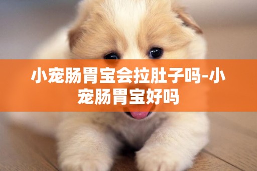 小寵腸胃寶會拉肚子嗎-小寵腸胃寶好嗎
