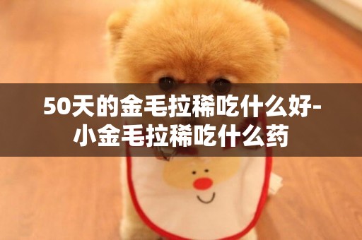 50天的金毛拉稀吃什么好-小金毛拉稀吃什么藥