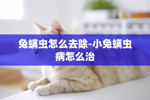 兔螨蟲怎么去除-小兔螨蟲病怎么治