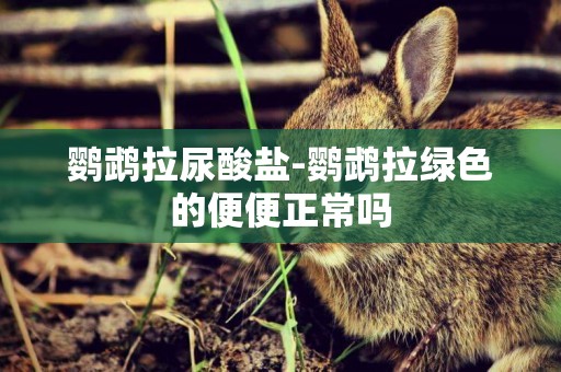 鸚鵡拉尿酸鹽-鸚鵡拉綠色的便便正常嗎