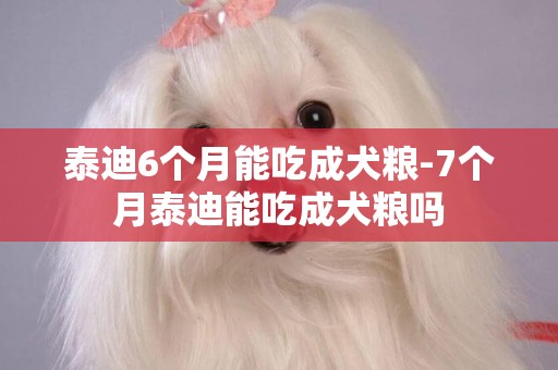 泰迪6個月能吃成犬糧-7個月泰迪能吃成犬糧嗎