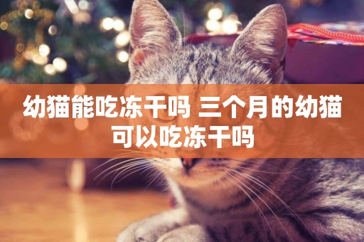 幼貓能吃凍干嗎 三個月的幼貓可以吃凍干嗎