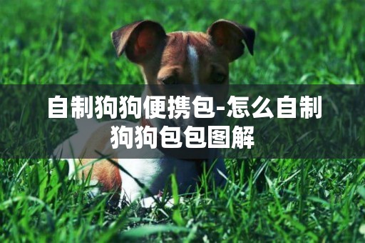 自制狗狗便攜包-怎么自制狗狗包包圖解