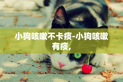 小狗咳嗽不卡痰-小狗咳嗽有痰,