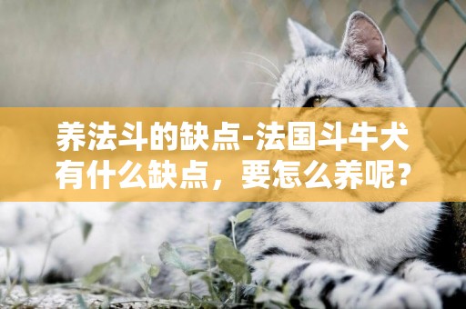 養法斗的缺點-法國斗牛犬有什么缺點，要怎么養呢？