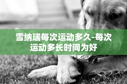 雪納瑞每次運動多久-每次運動多長時間為好