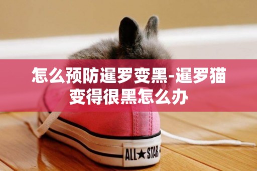 怎么預防暹羅變黑-暹羅貓變得很黑怎么辦