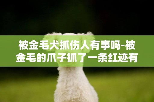 被金毛犬抓傷人有事嗎-被金毛的爪子抓了一條紅跡有事嗎 醫生
