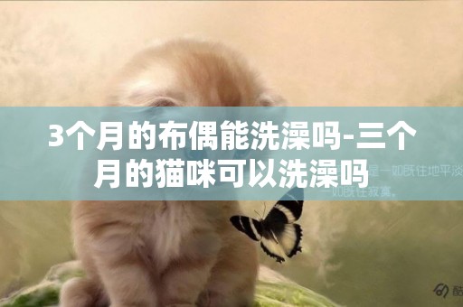 3個月的布偶能洗澡嗎-三個月的貓咪可以洗澡嗎