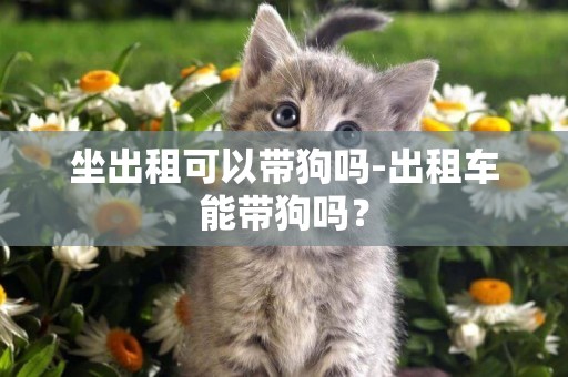 坐出租可以帶狗嗎-出租車能帶狗嗎？