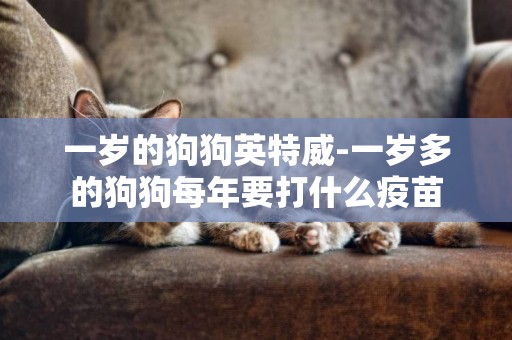 一歲的狗狗英特威-一歲多的狗狗每年要打什么疫苗