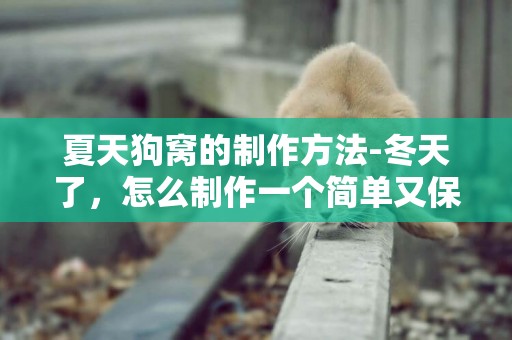 夏天狗窩的制作方法-冬天了，怎么制作一個簡單又保暖的狗窩