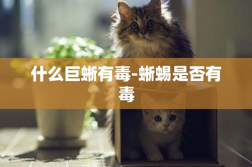 什么巨蜥有毒-蜥蜴是否有毒