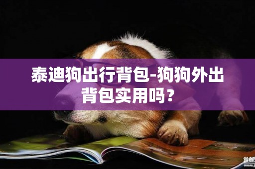 泰迪狗出行背包-狗狗外出背包實用嗎？