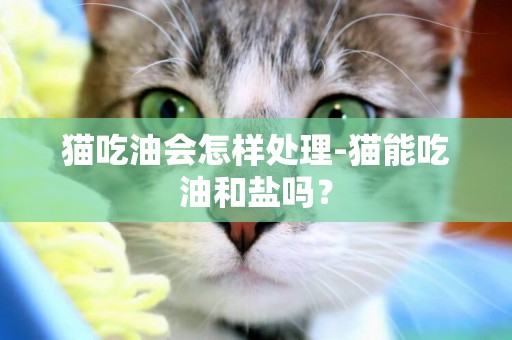 貓吃油會怎樣處理-貓能吃油和鹽嗎？