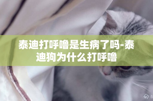 泰迪打呼嚕是生病了嗎-泰迪狗為什么打呼嚕