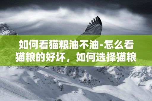 如何看貓糧油不油-怎么看貓糧的好壞，如何選擇貓糧