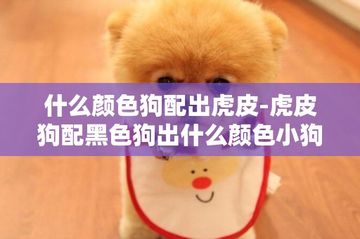 什么顏色狗配出虎皮-虎皮狗配黑色狗出什么顏色小狗