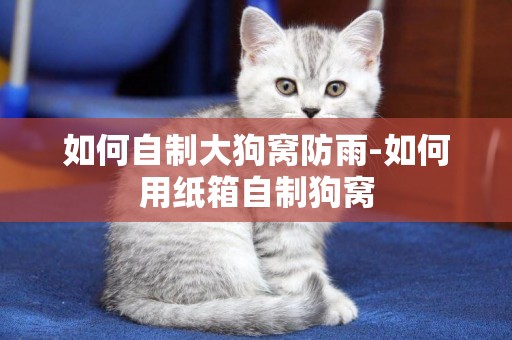 如何自制大狗窩防雨-如何用紙箱自制狗窩