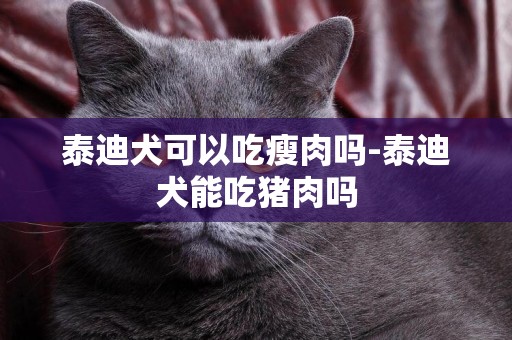 泰迪犬可以吃瘦肉嗎-泰迪犬能吃豬肉嗎