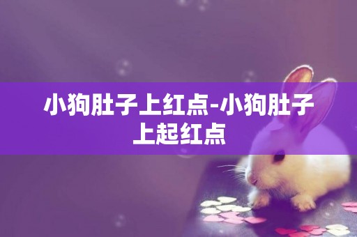 小狗肚子上紅點-小狗肚子上起紅點