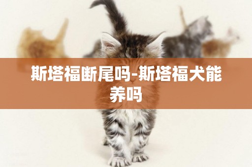 斯塔福斷尾嗎-斯塔福犬能養嗎