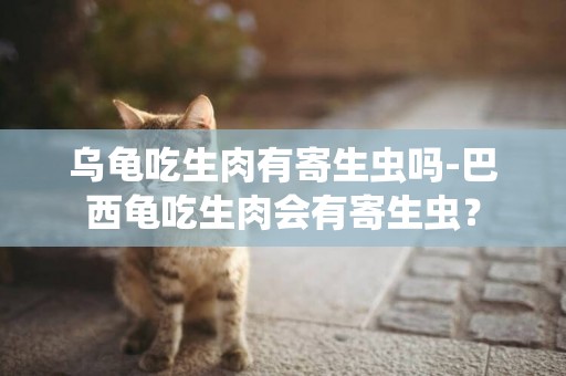 烏龜吃生肉有寄生蟲嗎-巴西龜吃生肉會有寄生蟲？