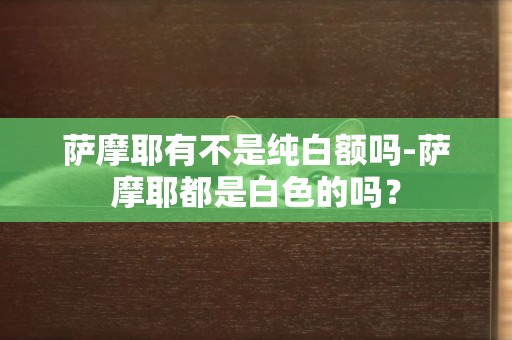 薩摩耶有不是純白額嗎-薩摩耶都是白色的嗎？