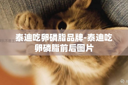 泰迪吃卵磷脂品牌-泰迪吃卵磷脂前后圖片