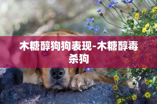 木糖醇狗狗表現-木糖醇毒殺狗