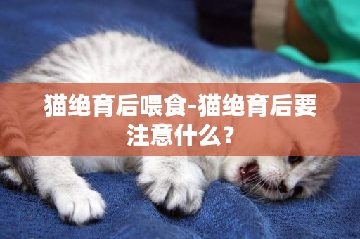 貓絕育后喂食-貓絕育后要注意什么？