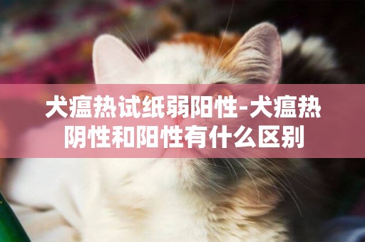 犬瘟熱試紙弱陽性-犬瘟熱陰性和陽性有什么區別