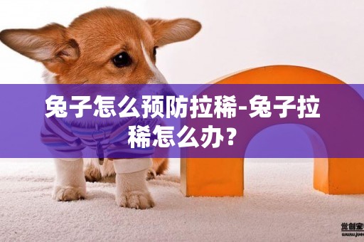 兔子怎么預防拉稀-兔子拉稀怎么辦？