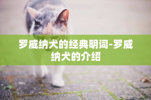 羅威納犬的經典明詞-羅威納犬的介紹