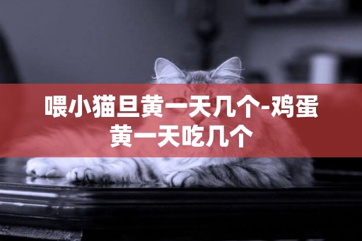 喂小貓旦黃一天幾個-雞蛋黃一天吃幾個