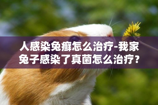 人感染兔癬怎么治療-我家兔子感染了真菌怎么治療？