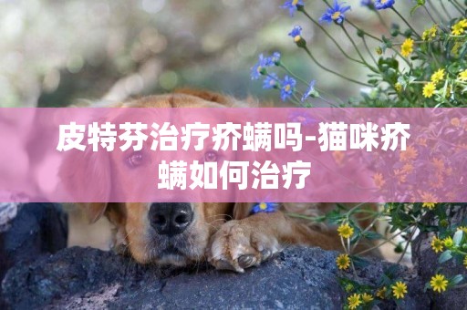 皮特芬治療疥螨嗎-貓咪疥螨如何治療