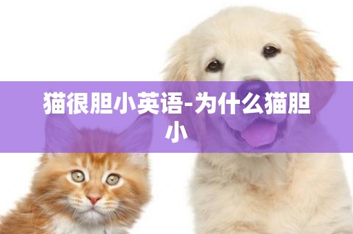 貓很膽小英語-為什么貓膽小