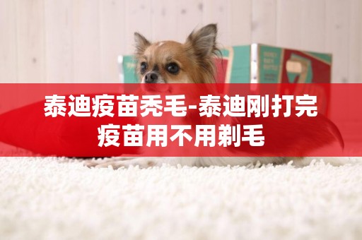 泰迪疫苗禿毛-泰迪剛打完疫苗用不用剃毛
