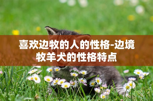 喜歡邊牧的人的性格-邊境牧羊犬的性格特點