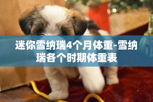 迷你雪納瑞4個月體重-雪納瑞各個時期體重表