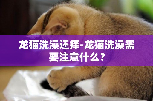 龍貓洗澡還癢-龍貓洗澡需要注意什么？