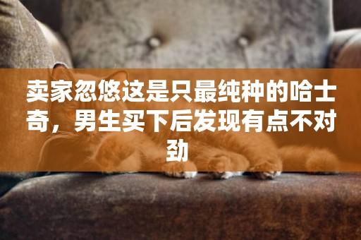 賣家忽悠這是只最純種的哈士奇，男生買下后發現有點不對勁 