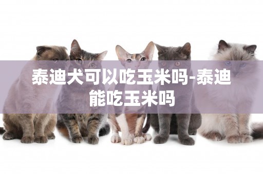 泰迪犬可以吃玉米嗎-泰迪能吃玉米嗎