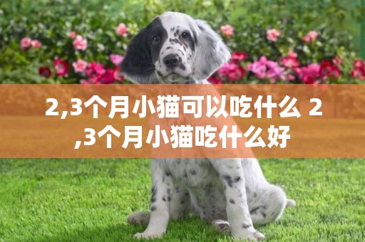 2,3個月小貓可以吃什么 2,3個月小貓吃什么好